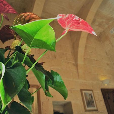 Encanto Vegetarian Bed & Breakfast Bed & Breakfast Xagħra Екстериор снимка