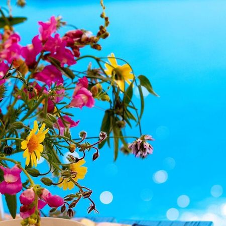 Encanto Vegetarian Bed & Breakfast Bed & Breakfast Xagħra Екстериор снимка