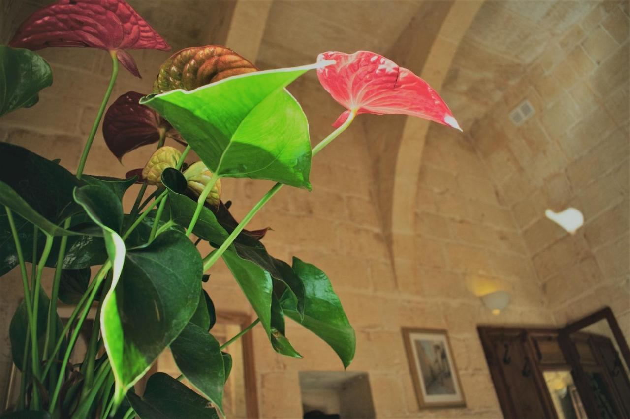 Encanto Vegetarian Bed & Breakfast Bed & Breakfast Xagħra Екстериор снимка
