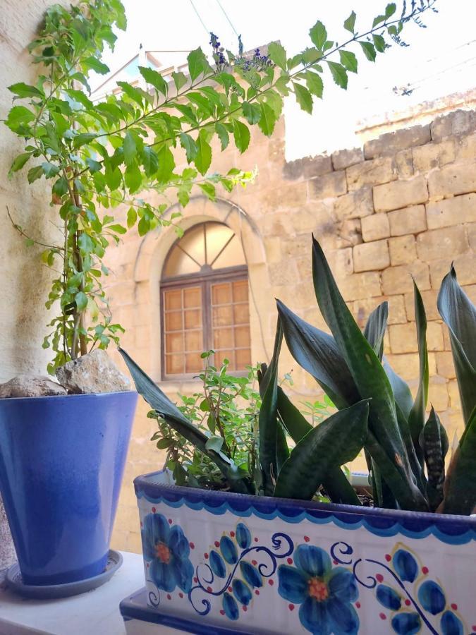 Encanto Vegetarian Bed & Breakfast Bed & Breakfast Xagħra Екстериор снимка